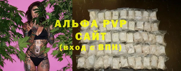 PSILOCYBIN Семикаракорск